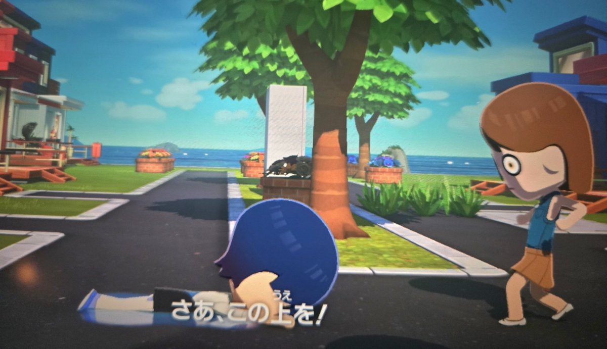 茉莉花 tweet media