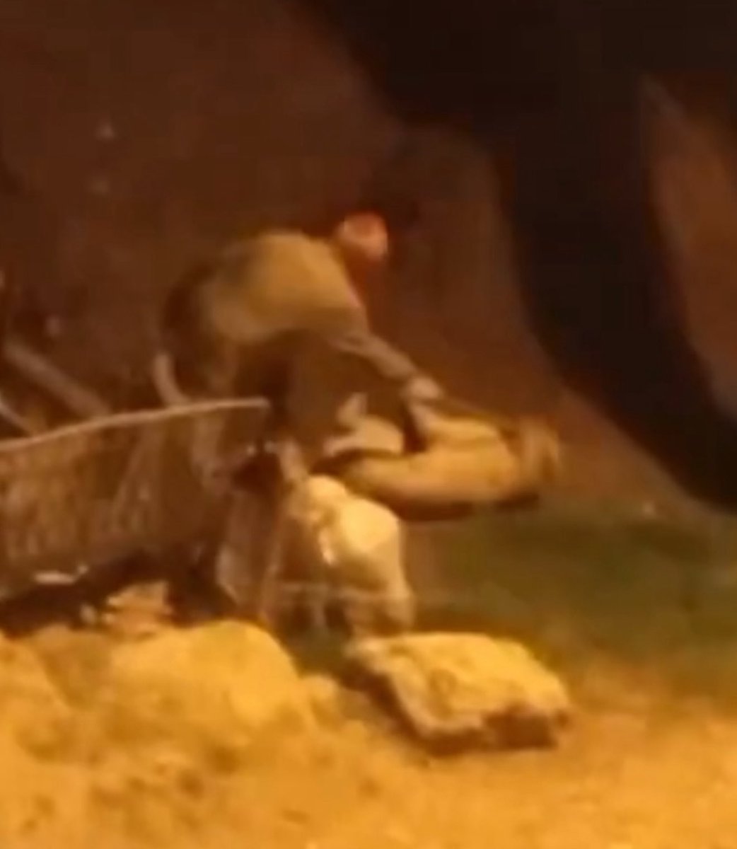 Yer Uşak Aşağı karacahisar köyü. Torununun önünde köpeği döverek öldüren Fikret Uğur,  bu ilk katliamı değilmiş bahçesine yaklaşan bir çok hayvanı (kedi, köpek, eşek,tavuk) katletmiş. Kendi torunlarını kümese kapattığı iddia ediliyor, bu adam sadece hayvanlar için değil hem