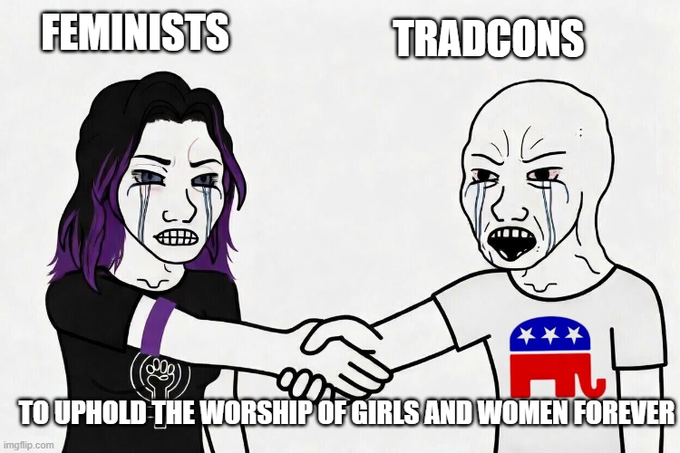 Pro-Male activism Radical tweet media