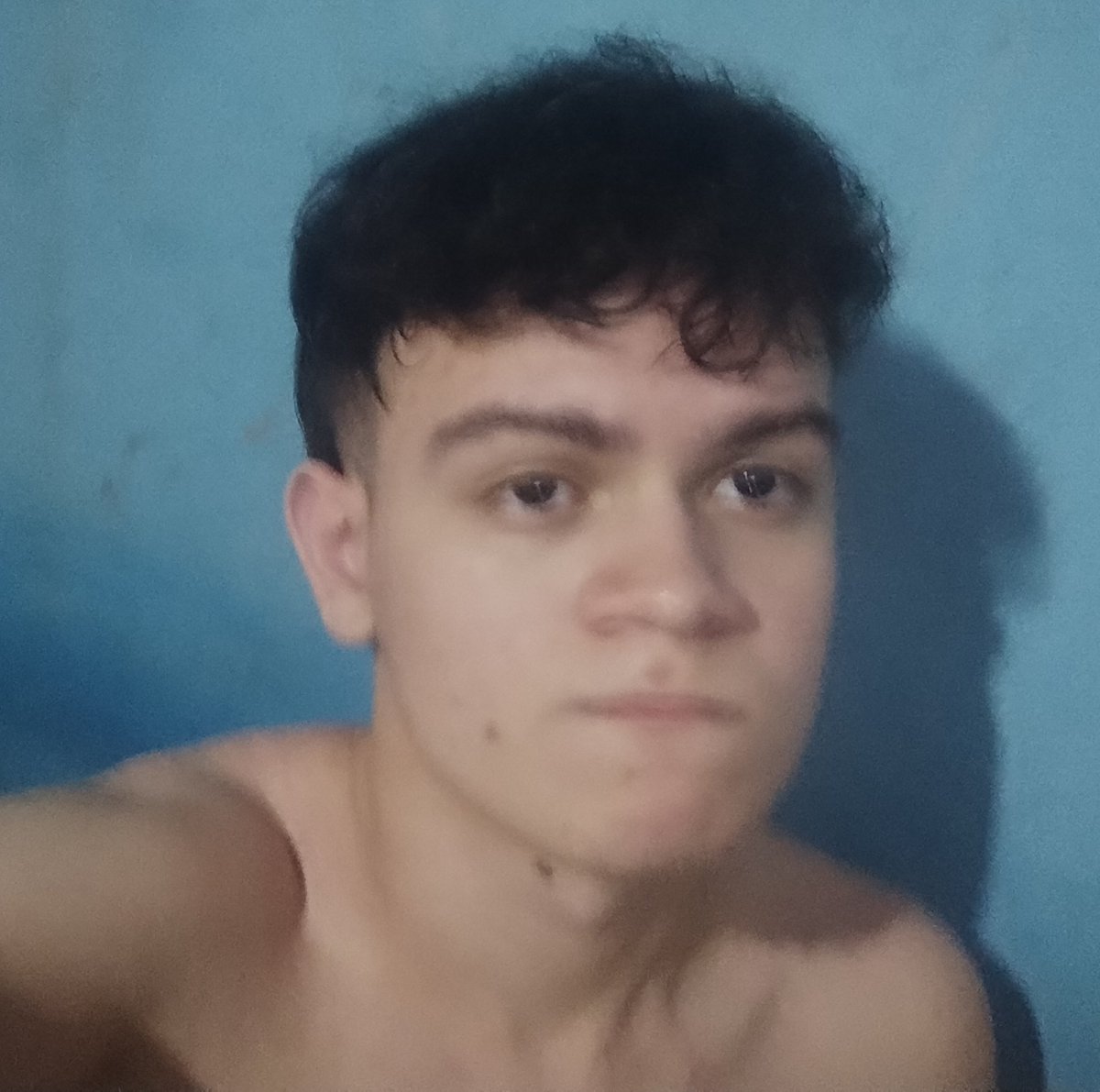 óleo de girassol tweet media