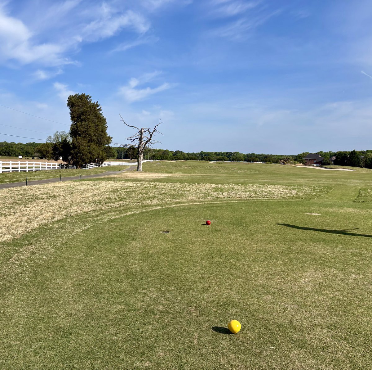 Yo no soy Marinero soy, Capitan, StAlex is no mas! tweet media