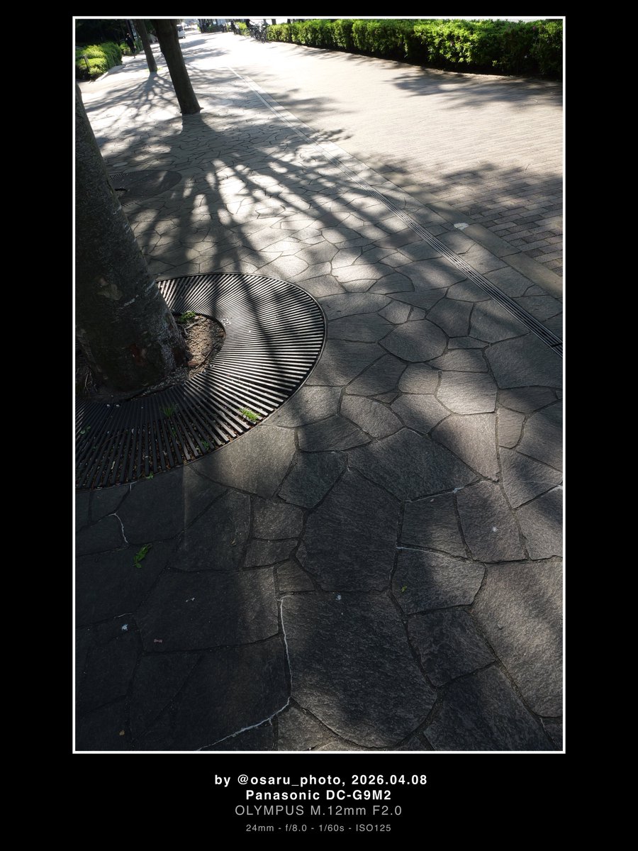 osaru_photo's tweet image. #G9PROII
#LUMIX
#Photography
#Japan
#Tokyo