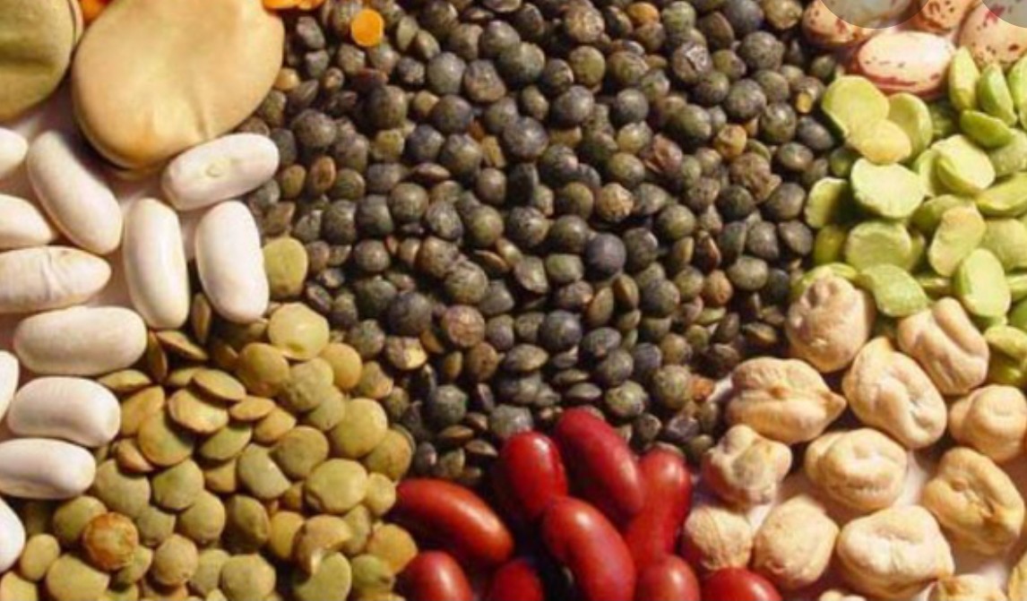 saudeedietatop's tweet image. Alimentação rica em vários vegetais ajuda a construir massa muscular: legumes (feijões, ervilha, lentilha, etc.), soja, quinoa, sementes de abóbora e oleaginosas (nozes, etc.) e juntamente com grãos integrais fornecem um perfil proteico completo. #saúde #saude #dieta #academia