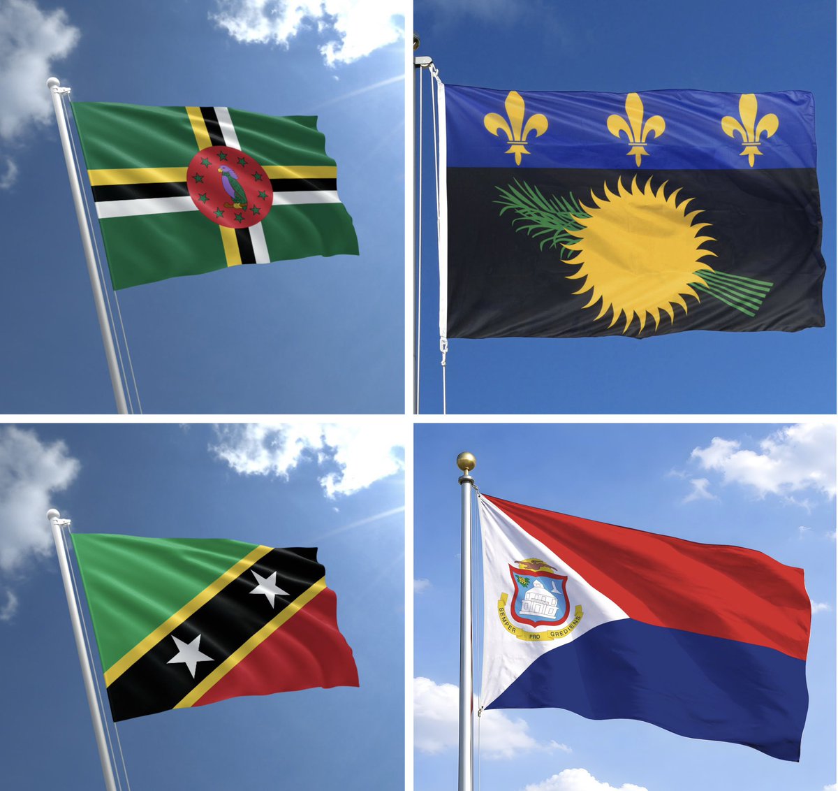 Speedy HQ tweet media