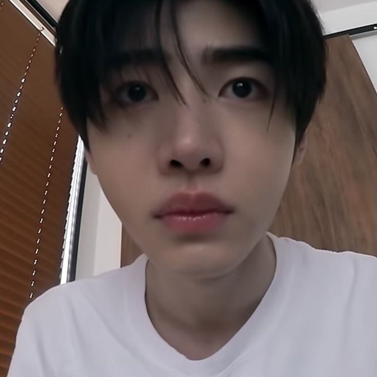 🪶 Hoon. tweet media