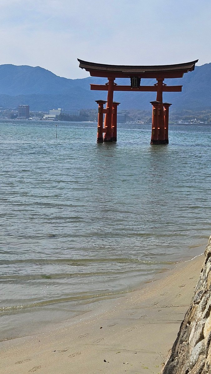 🍣🎤チキンキャスト🍣🎤@10/1日デビュー tweet media