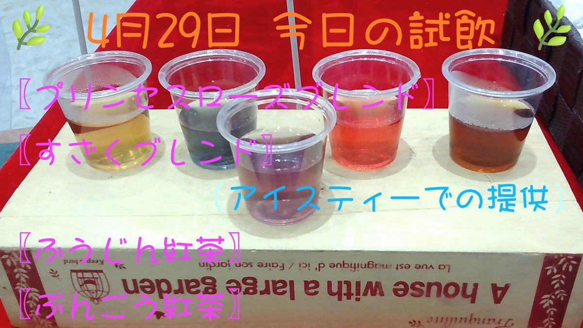 LilaKotPet(りらこっぺ) tweet media