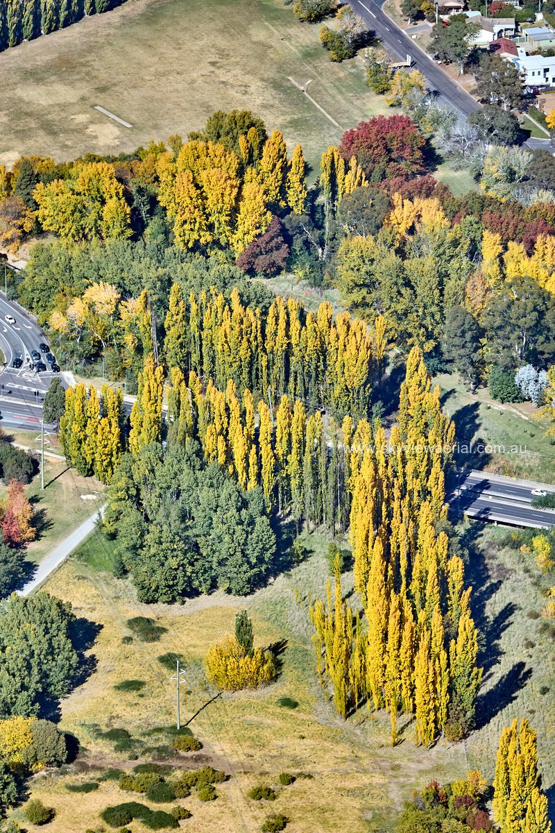 SKYview_Aerial's tweet photo. Who else loves Canberra at this time of year? Autumn from above..

#skyviewaerial still out doing #aerialphotography for #nswconstruction and #infrastructure #notadrone #canberra https://t.co/3XJY7rX5tK