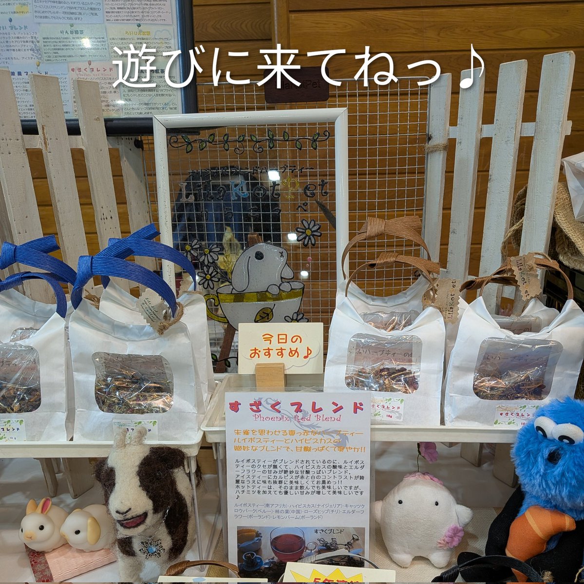 LilaKotPet(りらこっぺ) tweet media