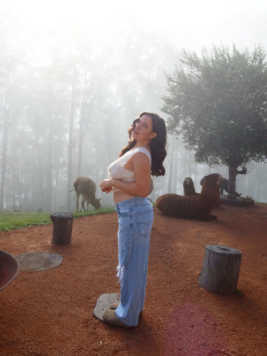 kateajfk tweet media