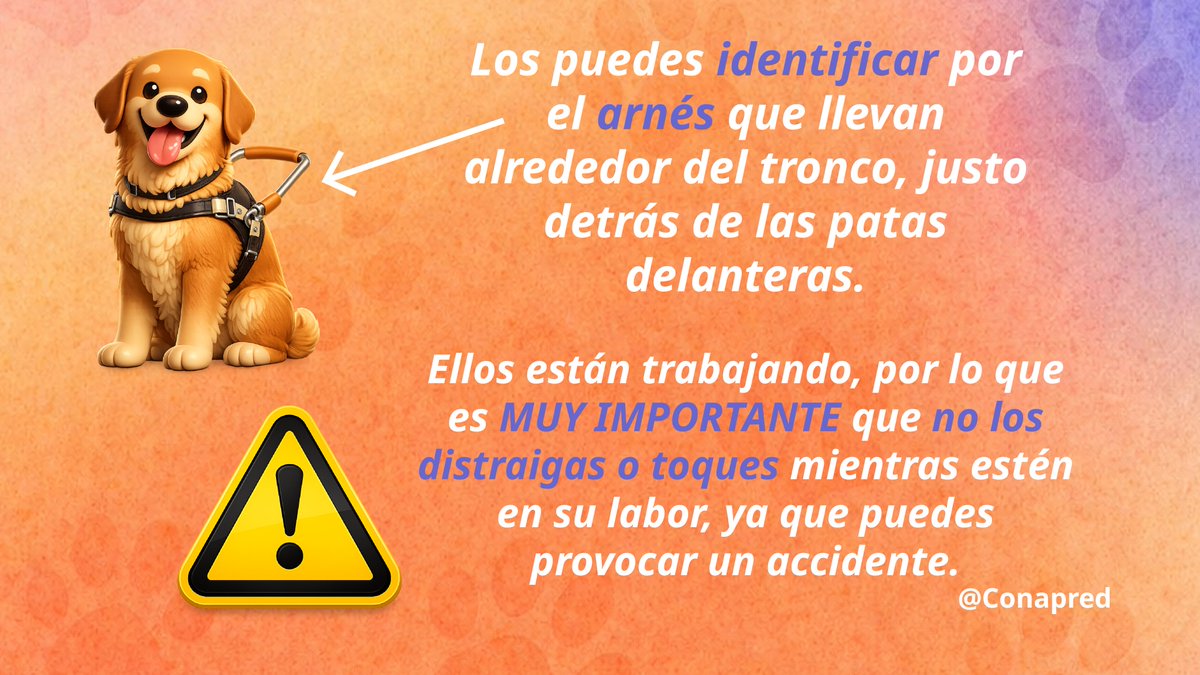 Conapred tweet media