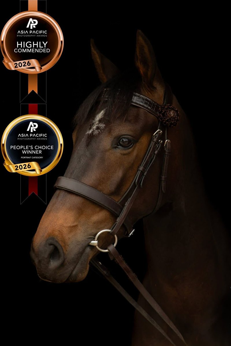 sit_nz's tweet image. #SITNZ Online’s New Zealand #Diploma in #Photography (NZDP) Level 5 was the impetus for Lisa Jones to produce award-winning images recently recognised in an international photography #competition

🔗 sit.ac.nz/News/ArtMID/64…