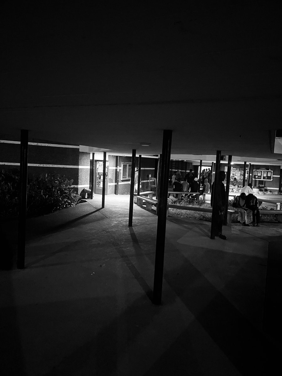 Dan✵🥷 tweet media