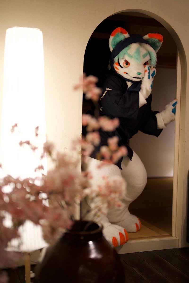 里見 de YANCE tweet media