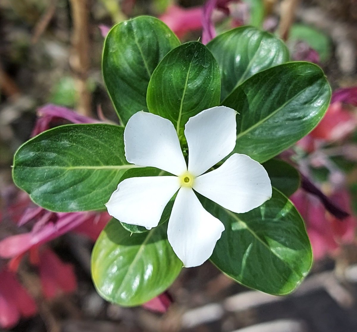 ememiqbal's tweet image. #Peace be upon us, and the mercy of Allah and His #blessings.
#Humanity is that quality which compels a #person to support even an #enemy, and empathy is that feeling in which even the #pain of strangers feels like one’s own.