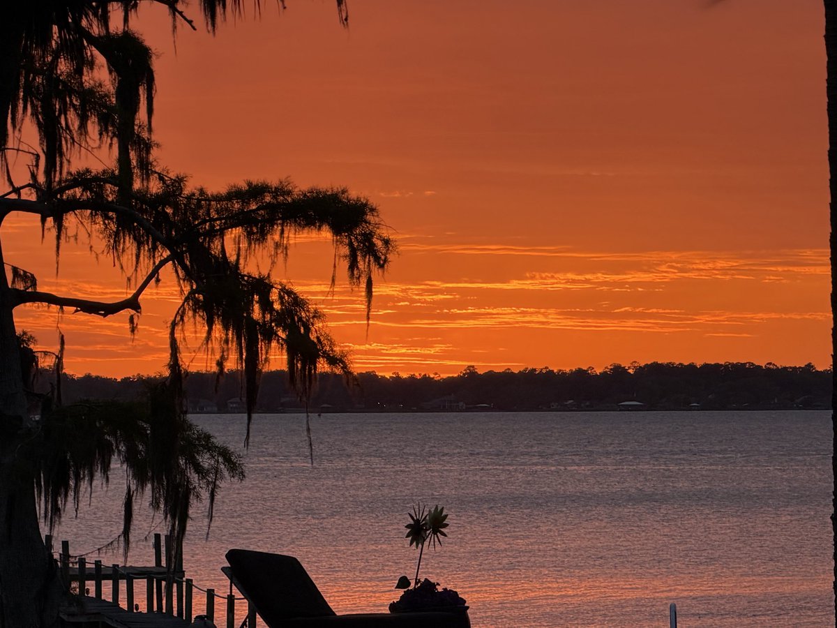 Gatorjrw's tweet photo. @CoffeeNGrit St John’s River. https://t.co/et2v3bjSk6