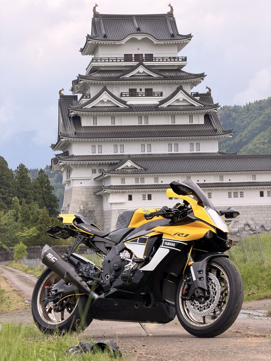 ぎゃうめ tweet media