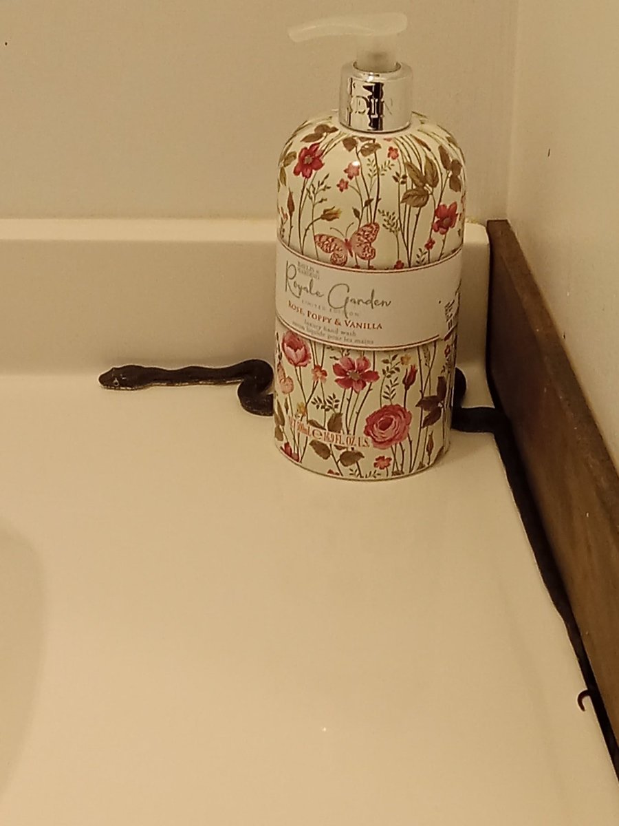 landreec tweet media