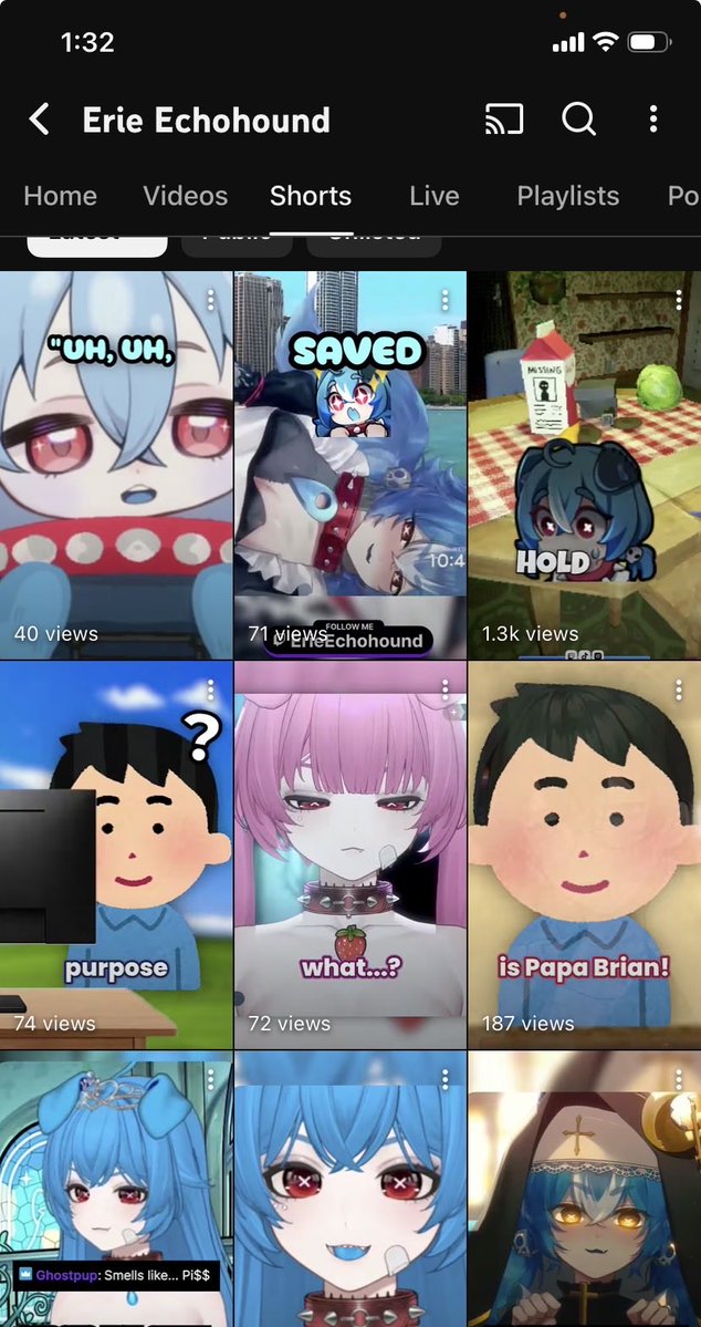 Erie Echohound 🪦🐕 #Vtuber 🎀 tweet media