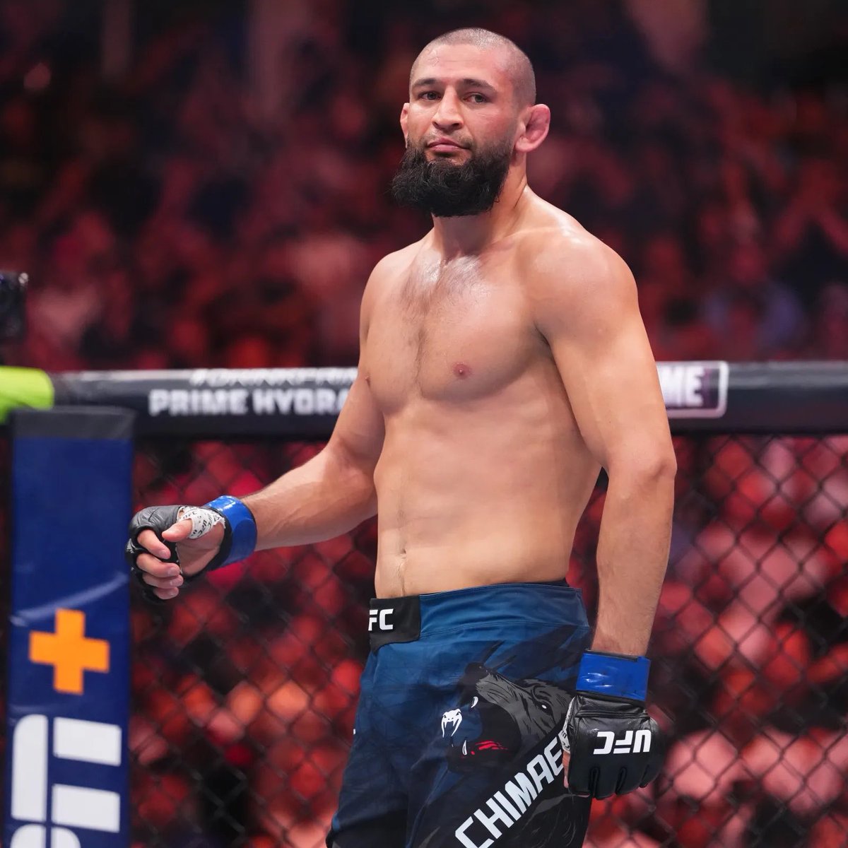 Kırmızı Köşe tweet media