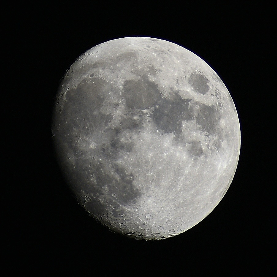 Marwella Zhang 🚀🎨 📸 🏎 tweet media