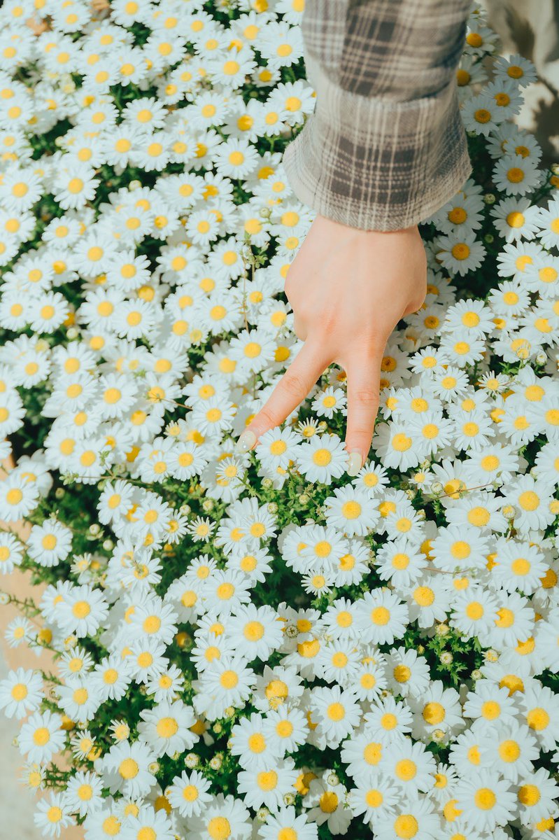 斎藤すず@photopartner tweet media