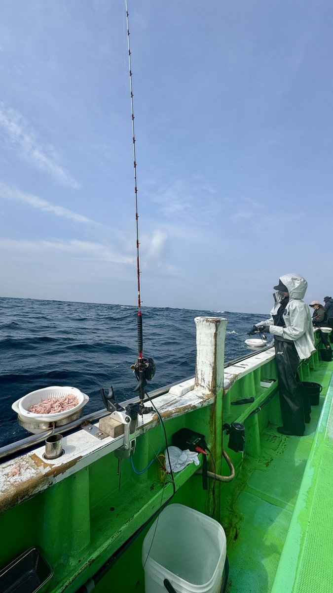 モーリー tweet media