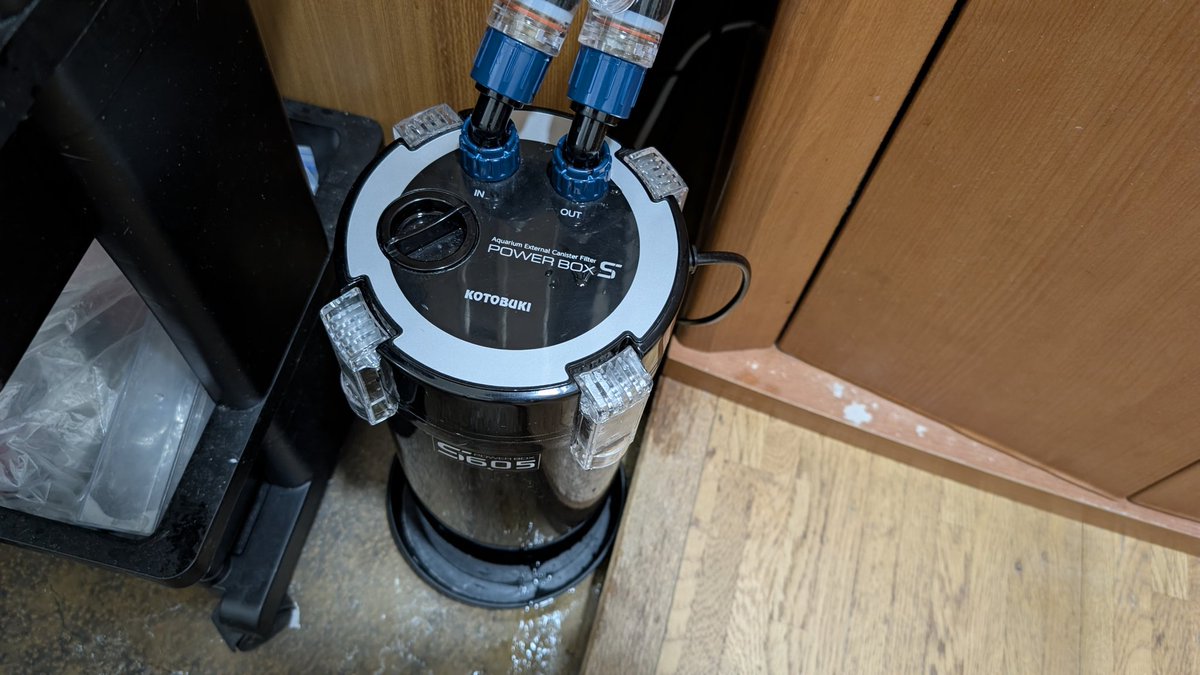 あっキングアクア tweet media