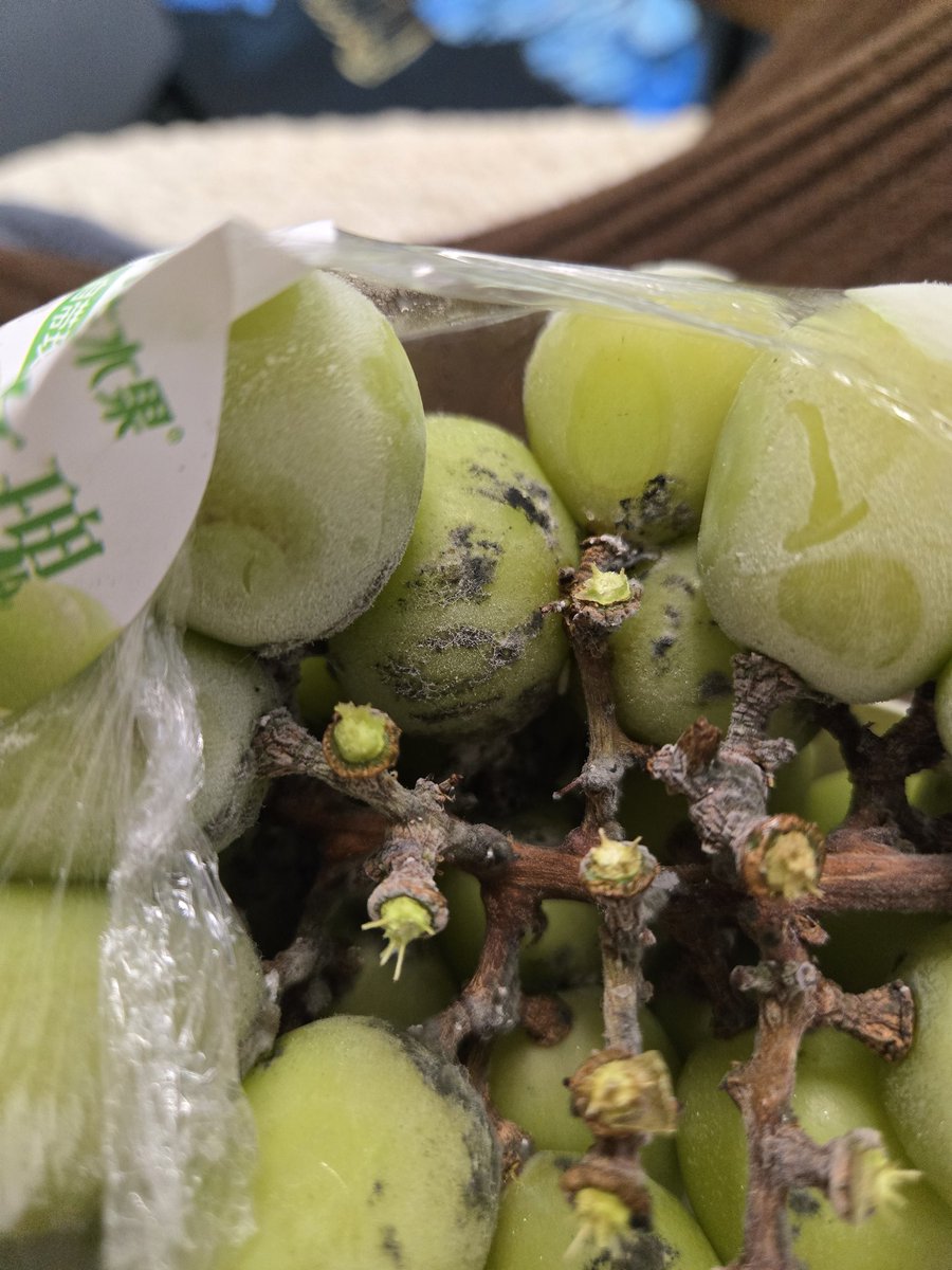 puppy! ♡ edtwt (she/her) tweet media