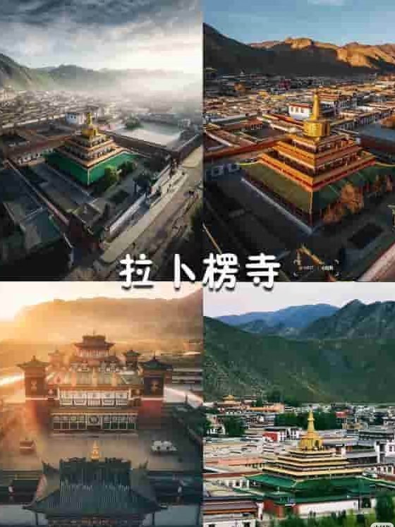 暖秋互fo tweet media