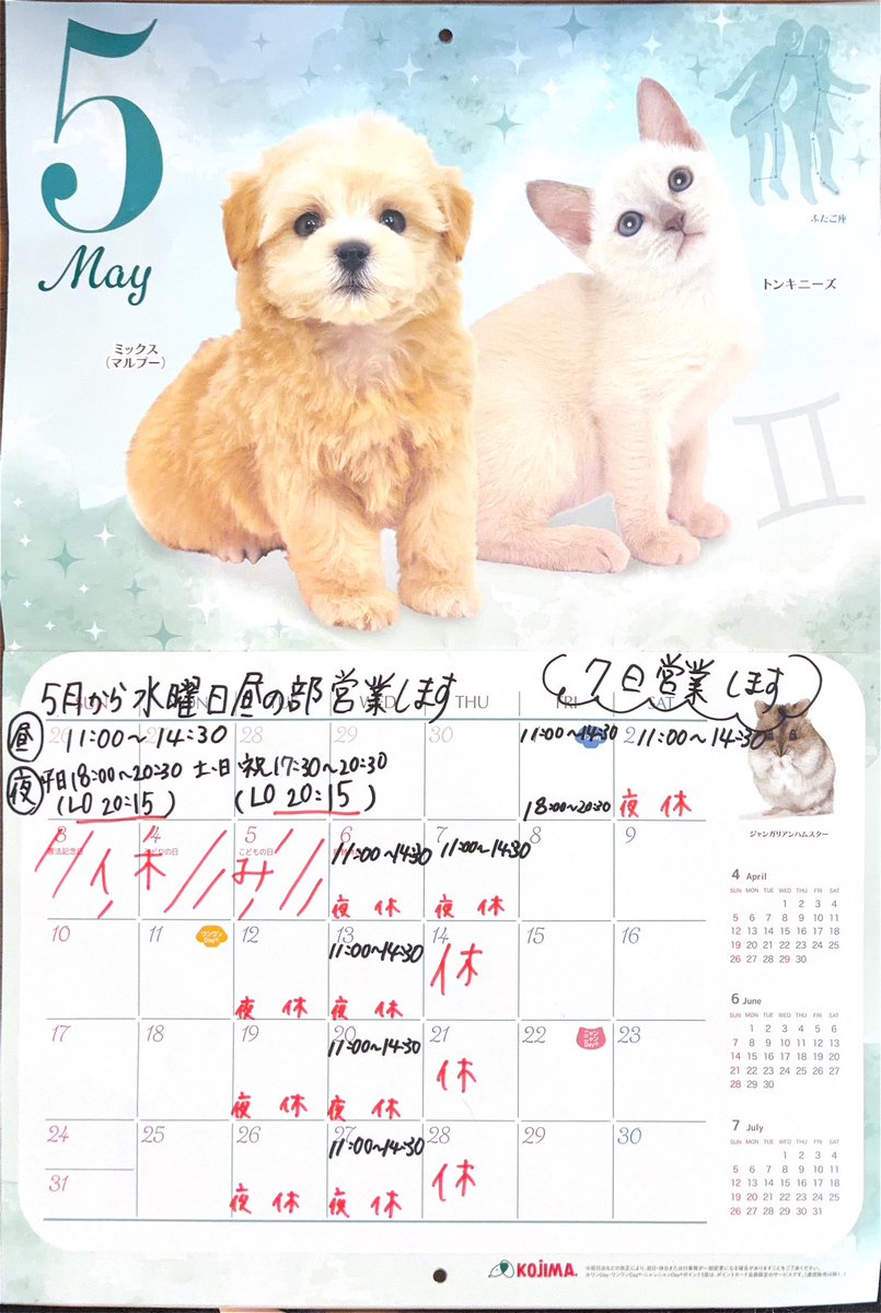 猫と月 chan mie noodles tweet media