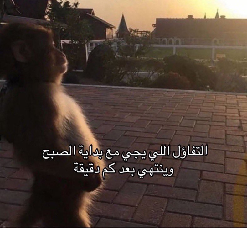 V1izzy's tweet photo. صباح الخير من قلب الجامعة https://t.co/8iiMk4w15H