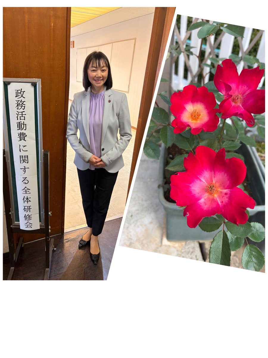 岩瀬まり【松戸市議会議員】🌹 tweet media