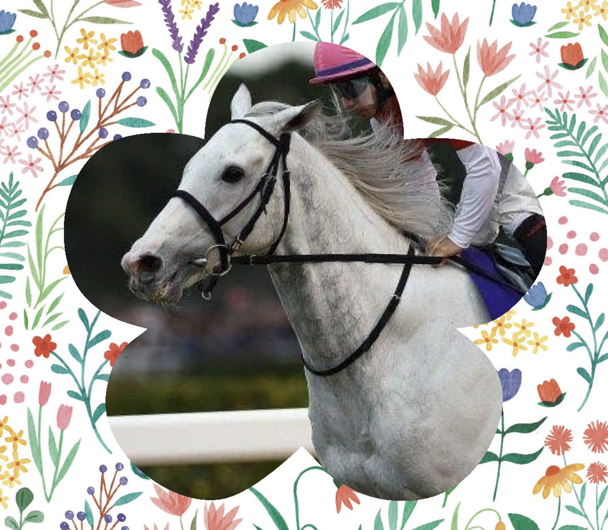 みなみの競馬channel tweet media