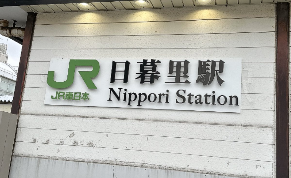 四度寝 tweet media