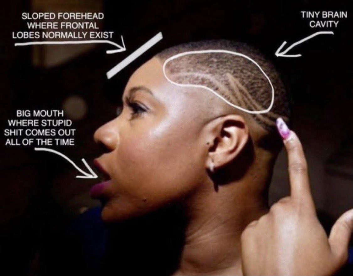 AlexAustin tweet media