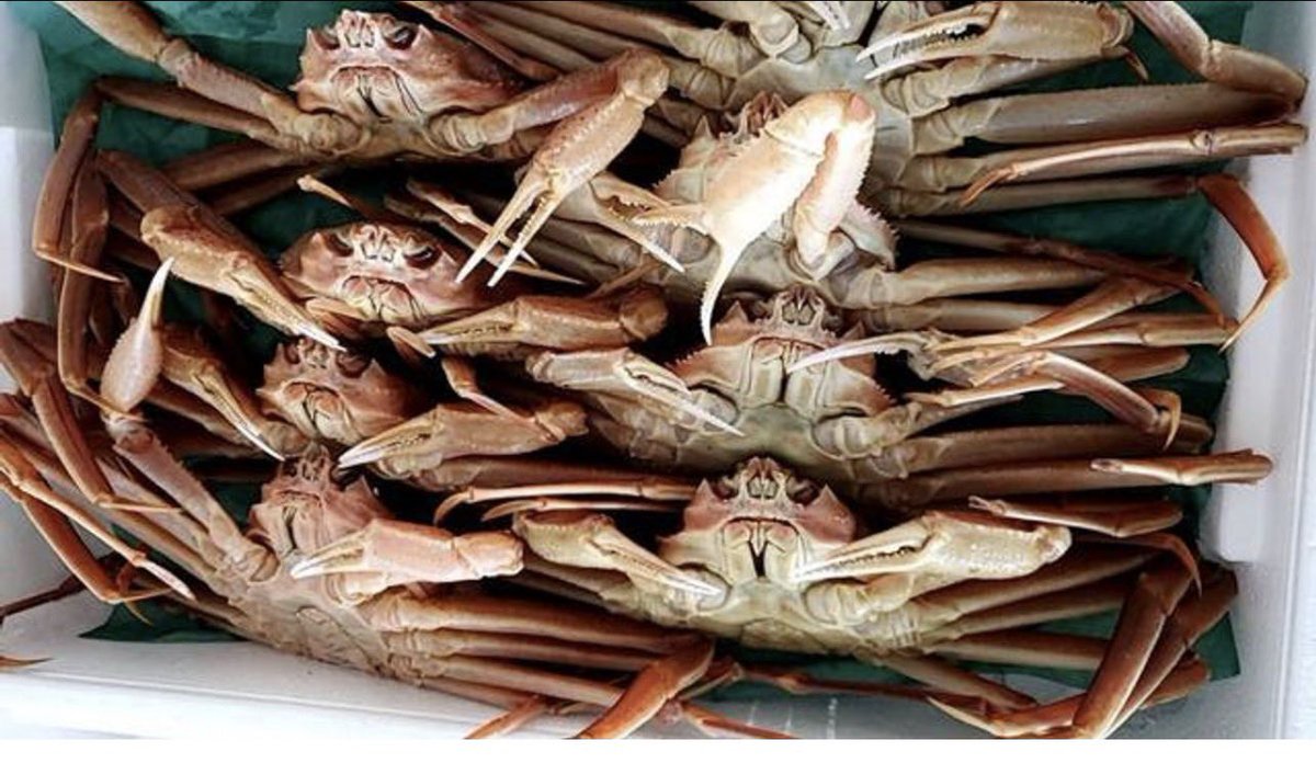 中華そば 麺屋M tweet media