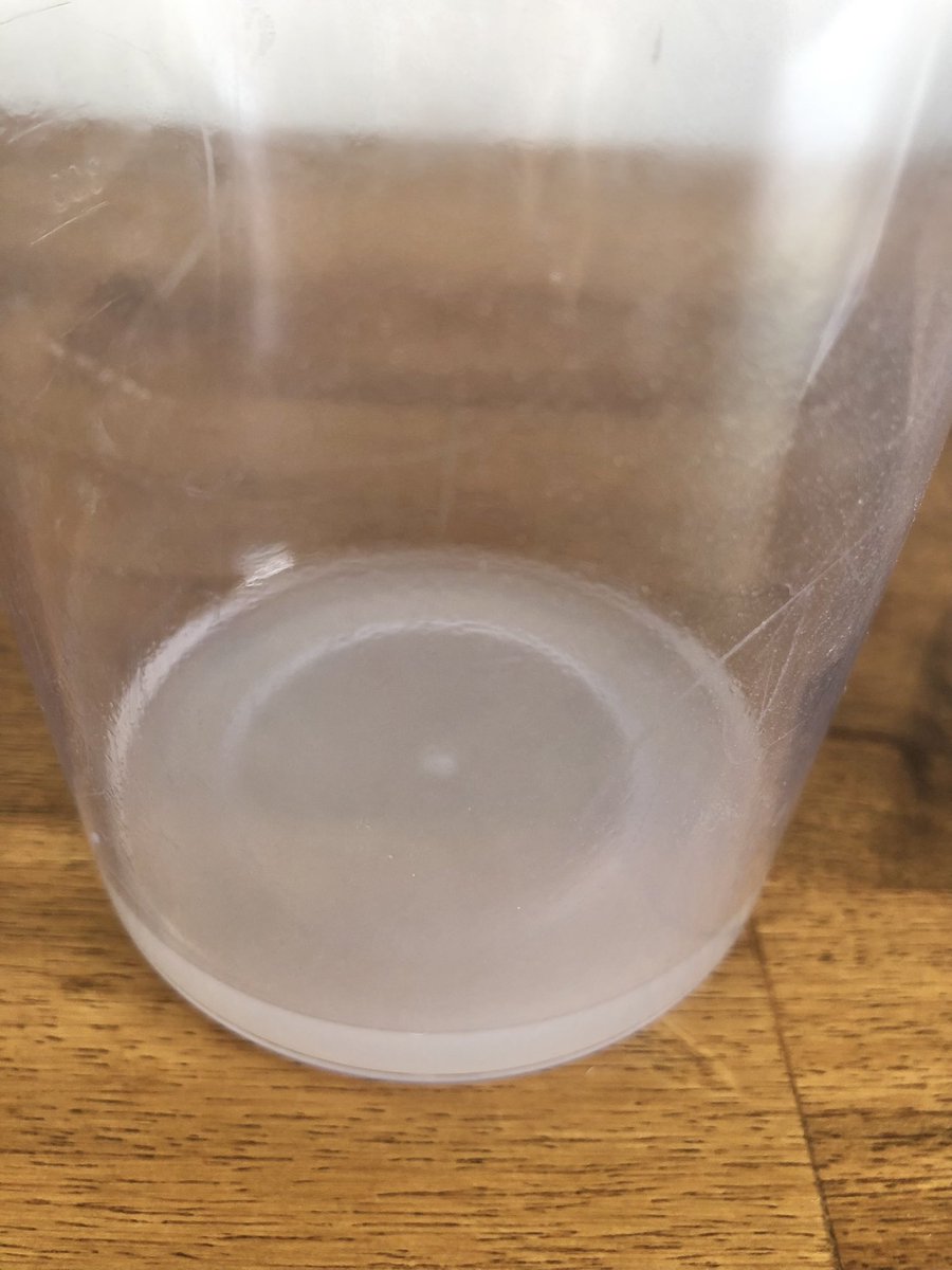 クズの根っこ636gからほんのわずかなでんぷんがとれました。これを乾かしたものが葛粉です。いや〜少ない！笑
通常秋冬に掘るものだからそれもあると思うけど。

粉にはせずにそのまま火を入れて葛湯にして飲もうと思います😆