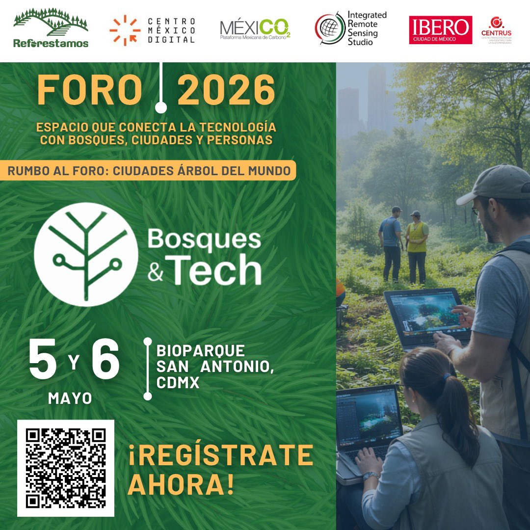 JCelForestal tweet media