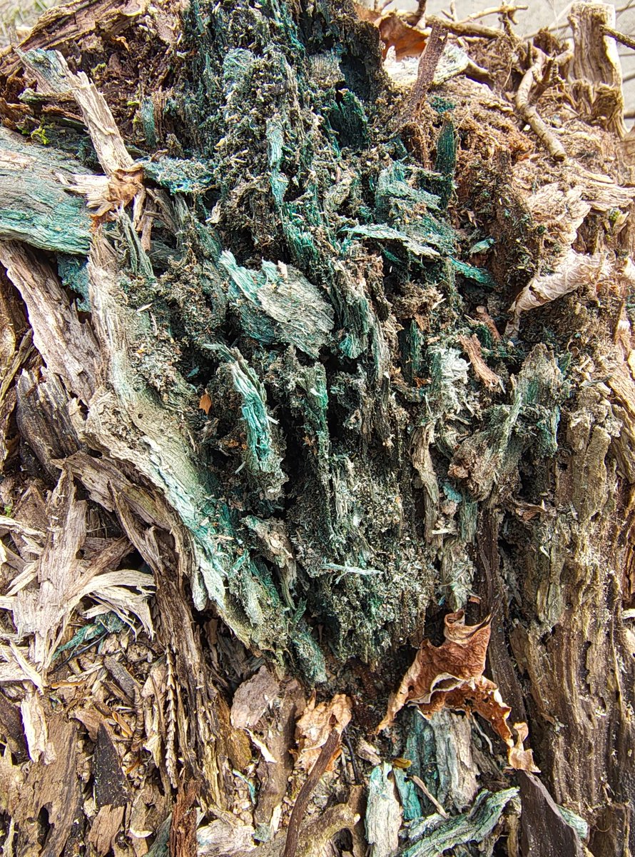 山河童 tweet media