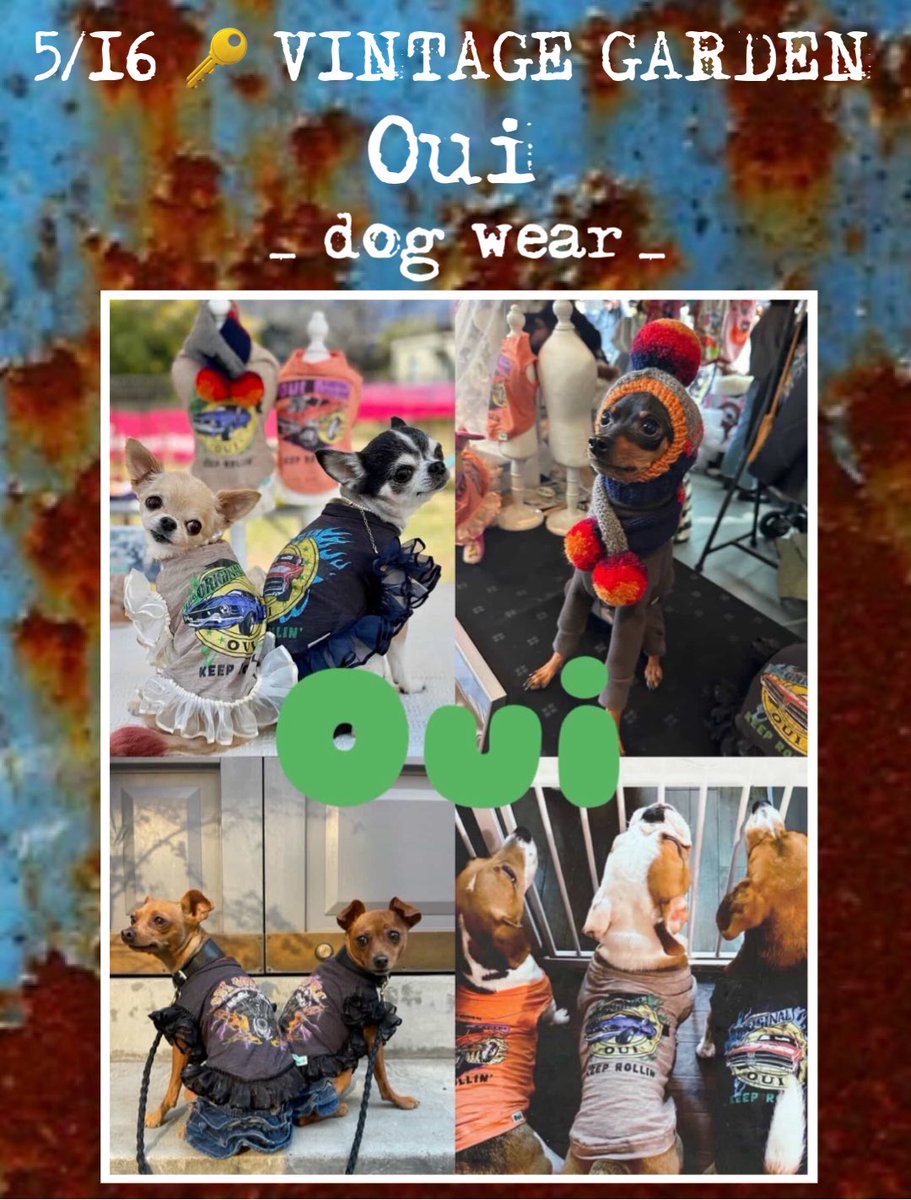 sippopo_dogrun's tweet image. 5/16(土)🔑 V I N T A G E  G A R D E N 🌿にご出店🛵

🟫Oui🟫
__ DOG WEAR __
@oui.oui.oui33

自身と愛犬の個性を表現したい。
新しい物を常に探している人に向けた1ランク上のアイテムを取り揃えたブランドで全てmade in japan製品です。

instagram.com/p/DXoiNlqEVgM/…

#VINTAGE
#VINTAGEGARDEN
#oui