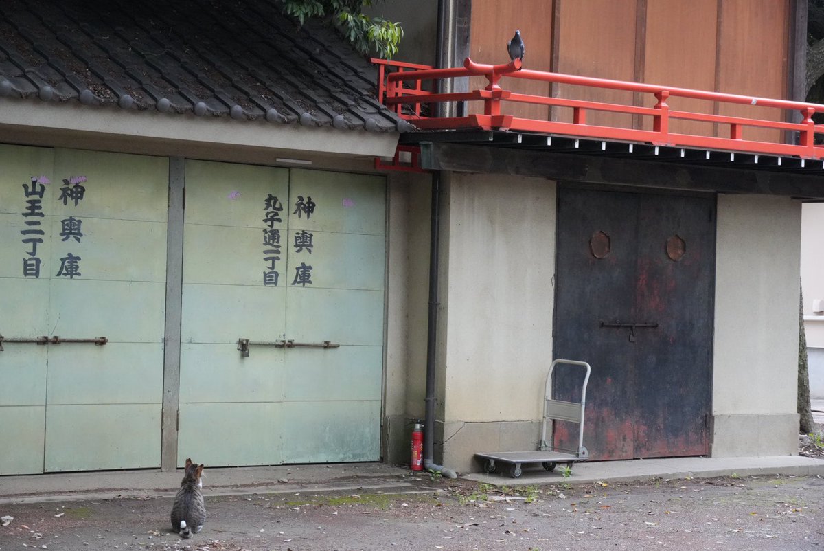 ほのぼのトロ tweet media