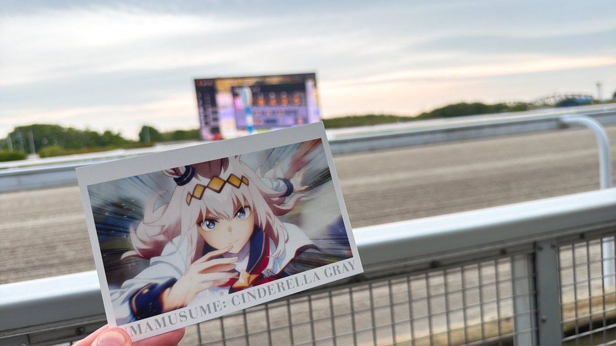 ちるだ tweet media