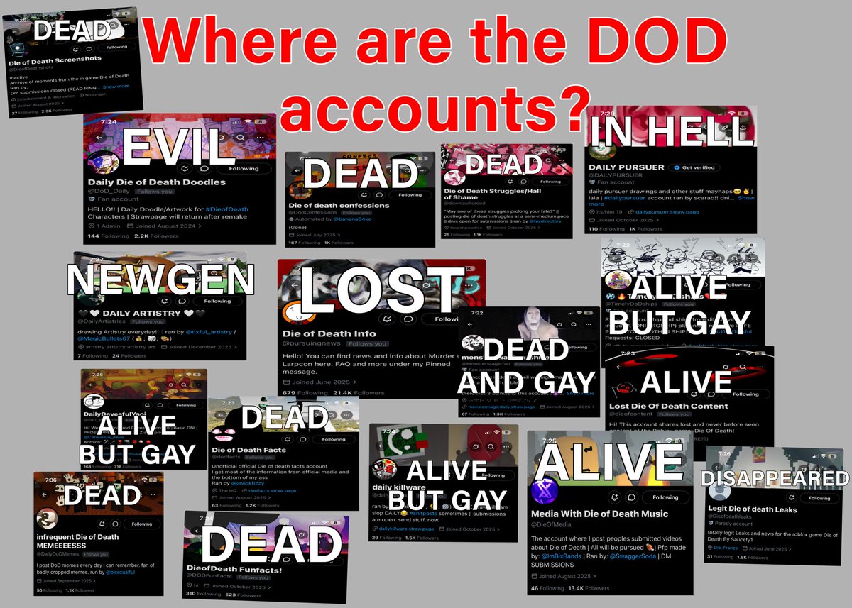 DAILY PURSUER tweet media