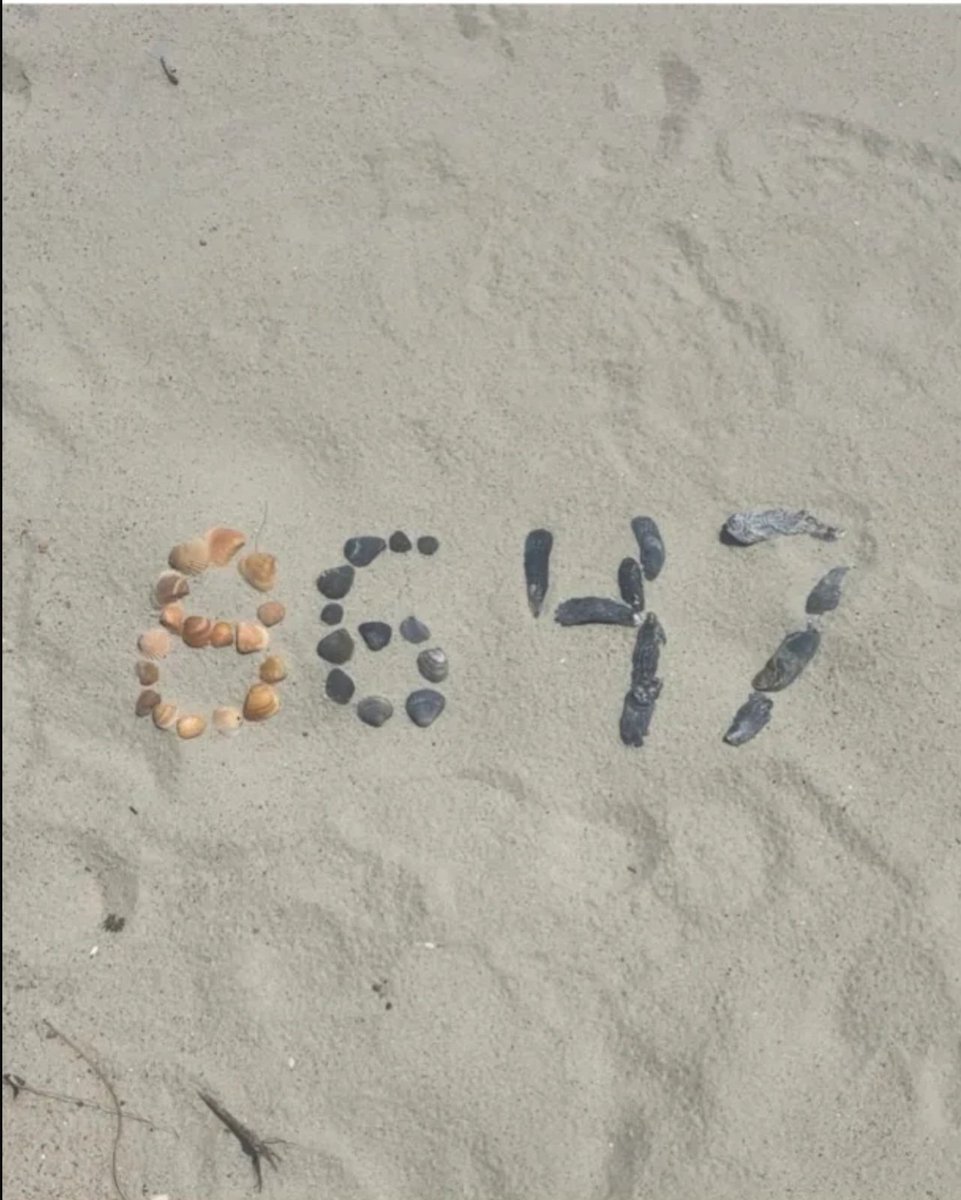 dragon864700's tweet image. "Cool shell formation on my beach walk" what tf happened to free speech? You dumb motherfuckers 86 means to get rid of. If any of you had spines you'd know trump isincompetent and demented.
#fdt #ftg #justice #bluewave #unitedstates