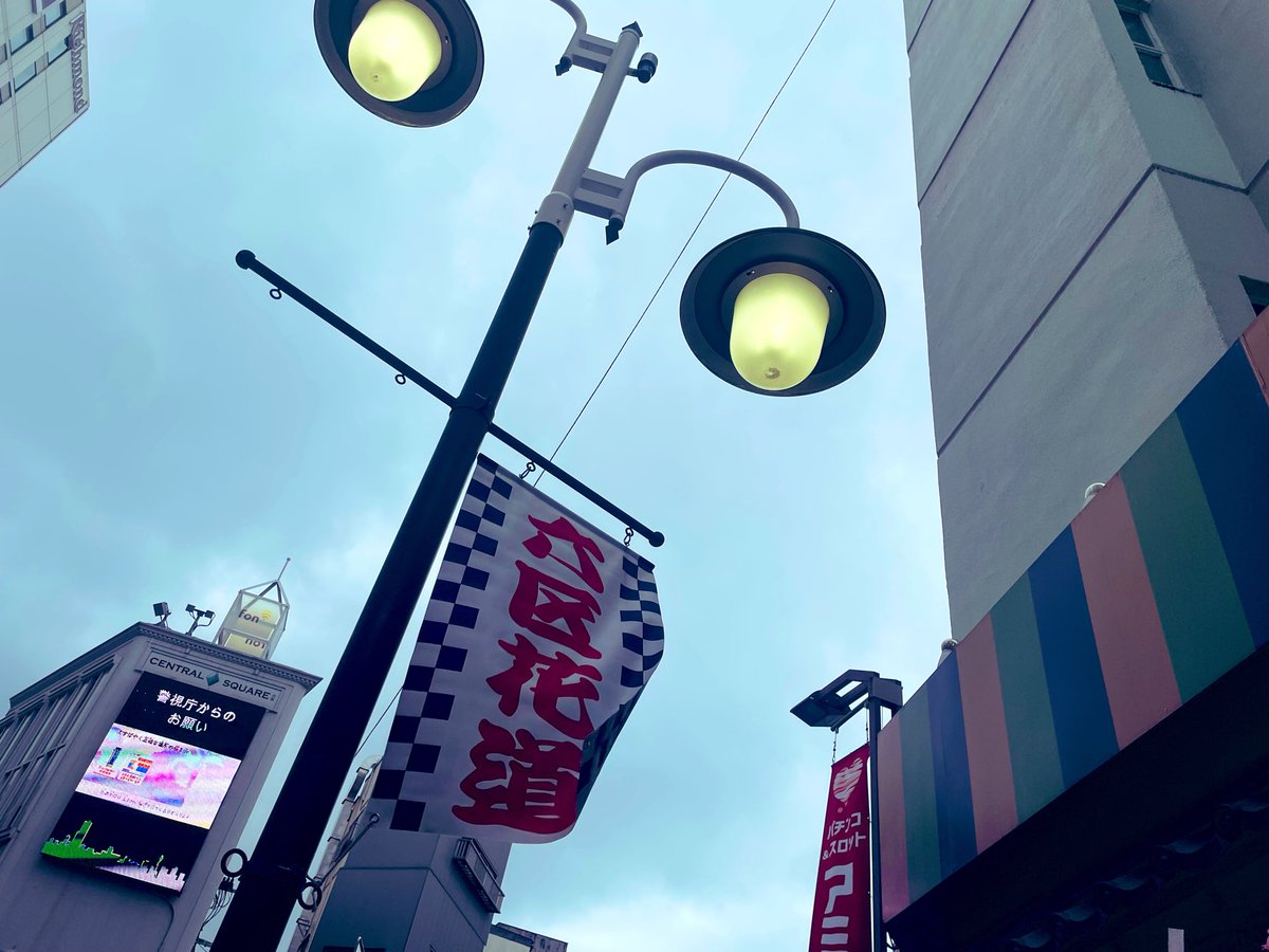 タラン・ニバキンス/シグモイド tweet media