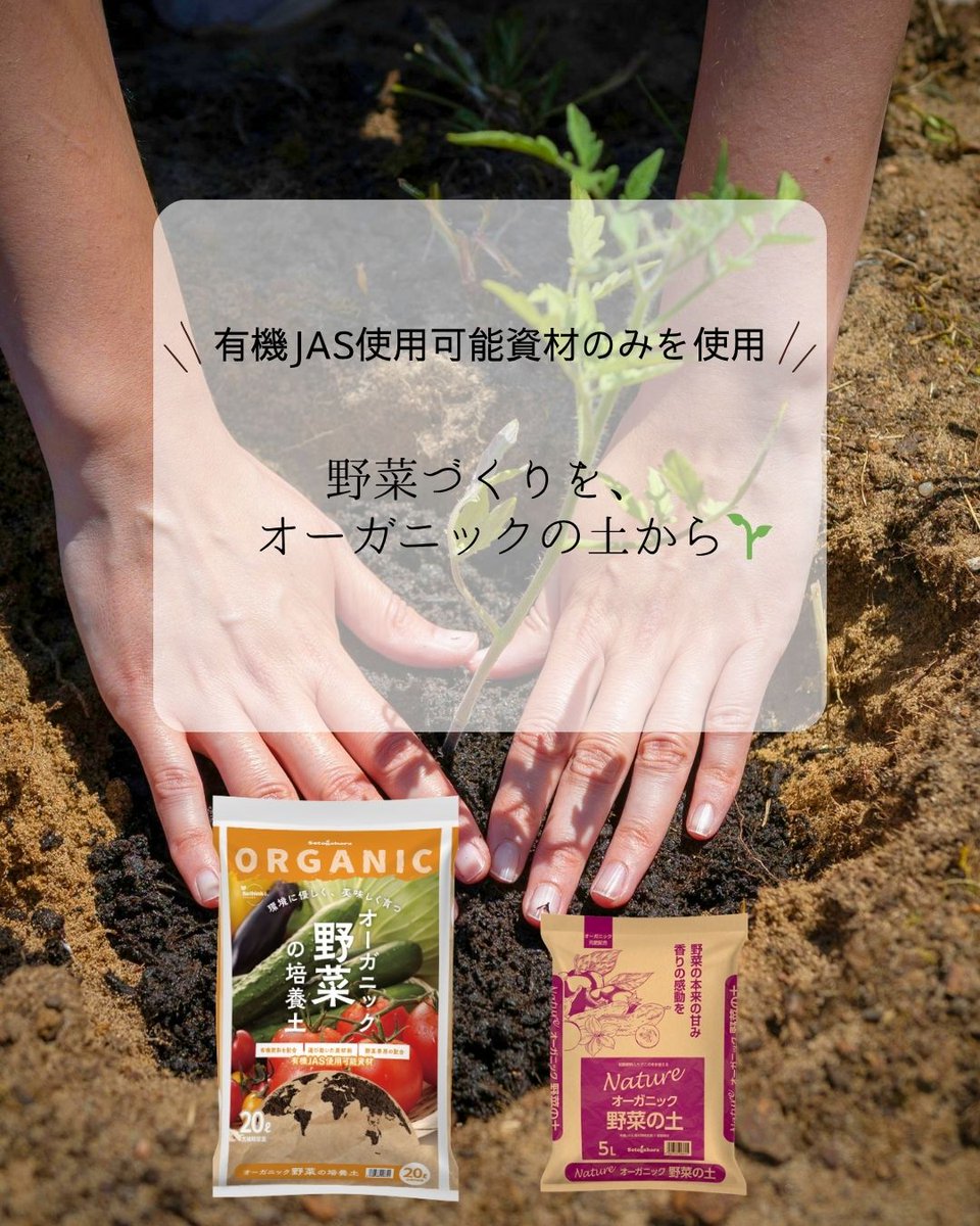 setogaharakaen's tweet photo. 野菜づくりを、
オーガニックの土から🌱
有機JAS使用可能資材のみを使用した
オーガニック培養土。

トマトやきゅうり、葉物野菜など
さまざまな野菜づくりにお使いいただけます🥬🍅
#家庭菜園
#野菜づくり
#オーガニック栽培
#培養土 https://t.co/iIjVHkXY3N