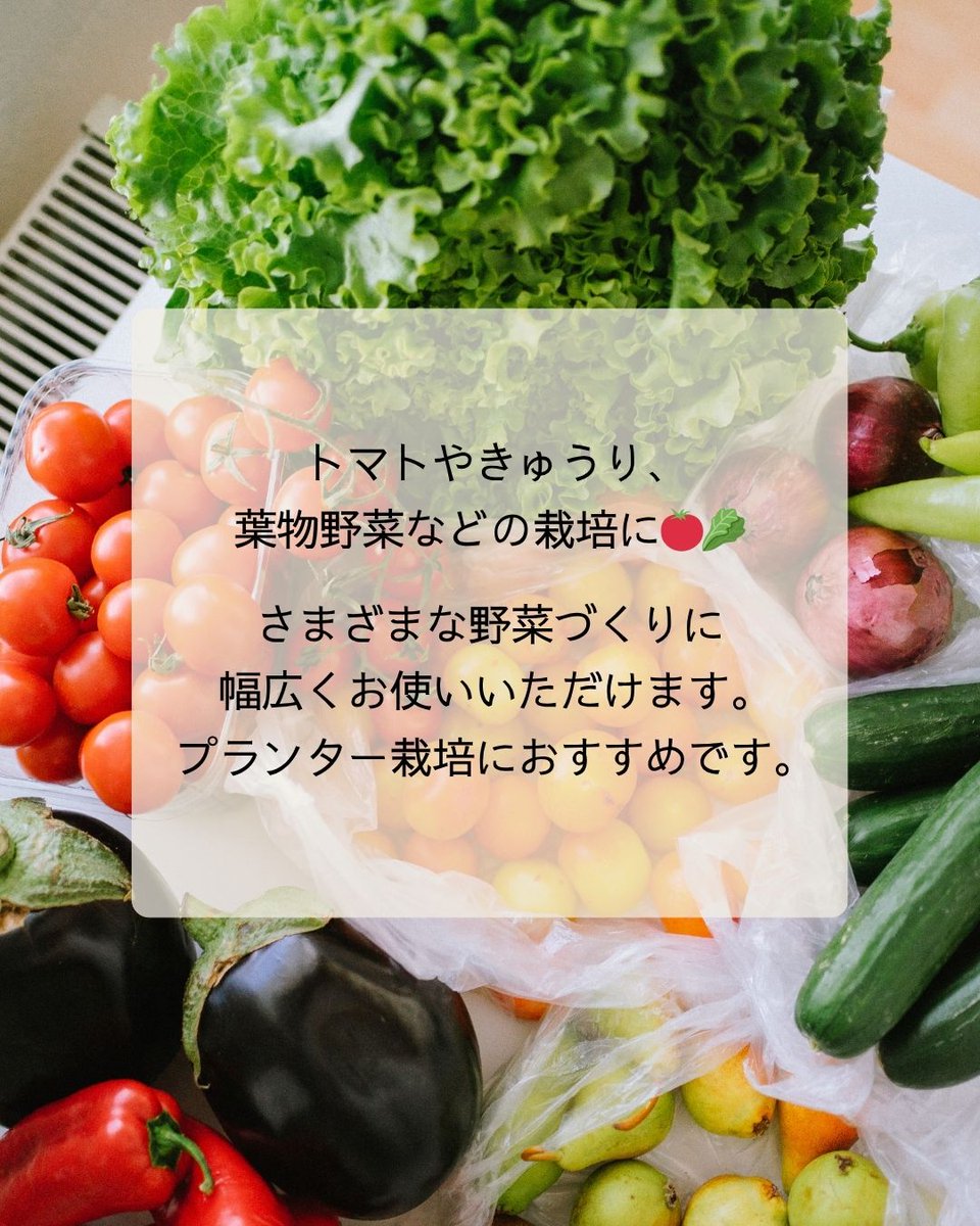setogaharakaen's tweet photo. 野菜づくりを、
オーガニックの土から🌱
有機JAS使用可能資材のみを使用した
オーガニック培養土。

トマトやきゅうり、葉物野菜など
さまざまな野菜づくりにお使いいただけます🥬🍅
#家庭菜園
#野菜づくり
#オーガニック栽培
#培養土 https://t.co/iIjVHkXY3N