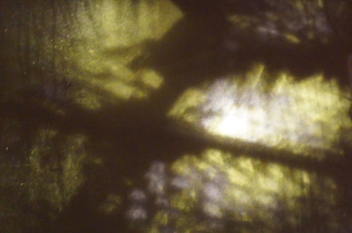 Easy Andy tweet media