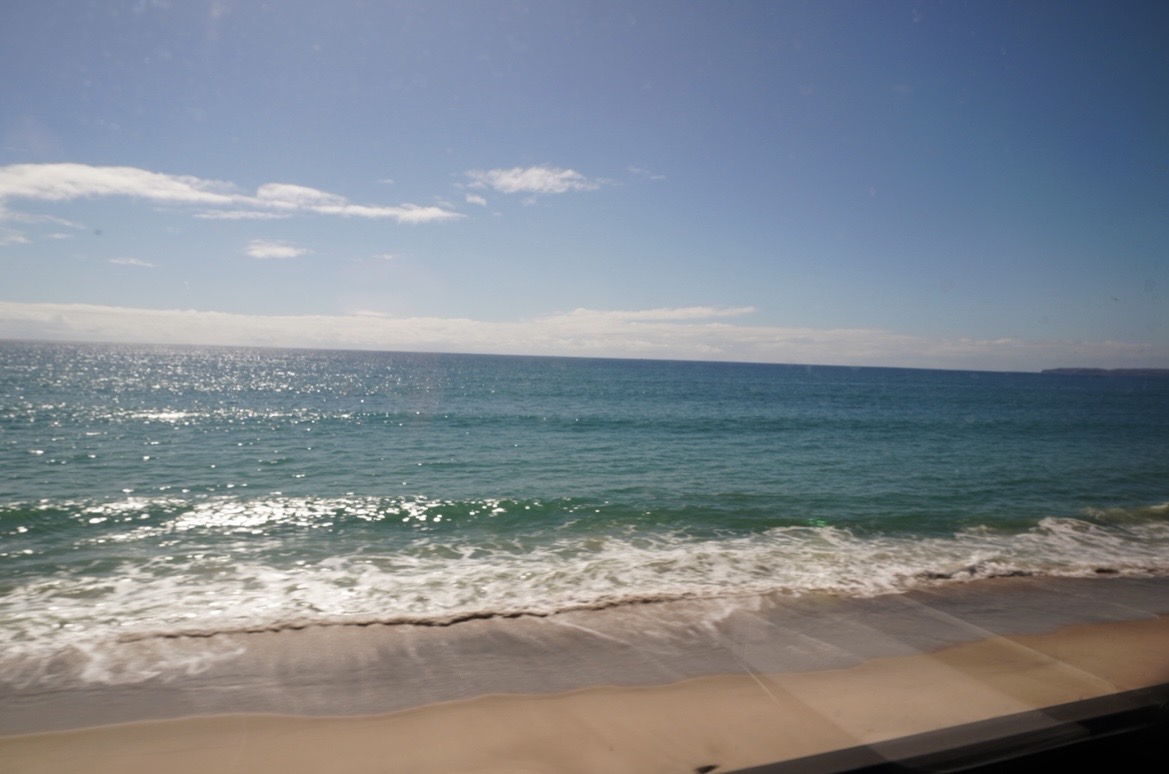 Easy Andy tweet media